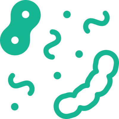 Postbiotics are stable bacteria strains which support immune health.